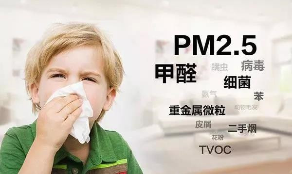 甲醛、pm2.5等危害.jpg 甲醛、pm2.5等危害.jpg