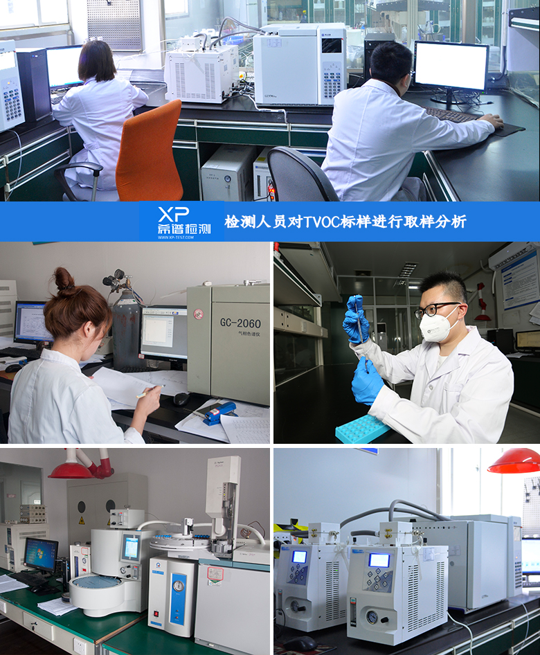 浙江滨安.jpg